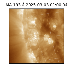 saia - 2025-03-03T01:00:04.843000