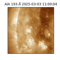 saia - 2025-03-03T11:00:04.843000