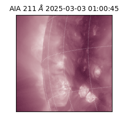 saia - 2025-03-03T01:00:45.632000