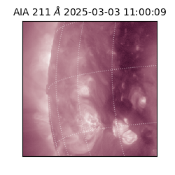 saia - 2025-03-03T11:00:09.630000