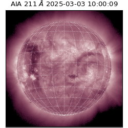 saia - 2025-03-03T10:00:09.632000