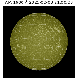 saia - 2025-03-03T21:00:38.125000