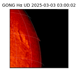 gong - 2025-03-03T03:00:02
