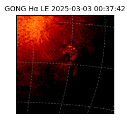 gong - 2025-03-03T00:37:42