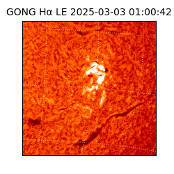gong - 2025-03-03T01:00:42