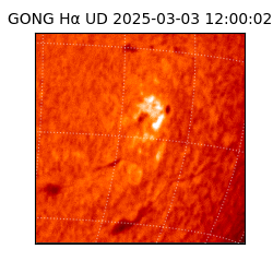 gong - 2025-03-03T12:00:02