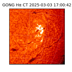 gong - 2025-03-03T17:00:42