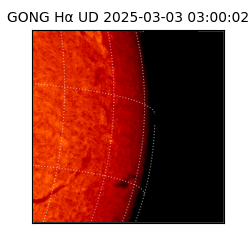 gong - 2025-03-03T03:00:02