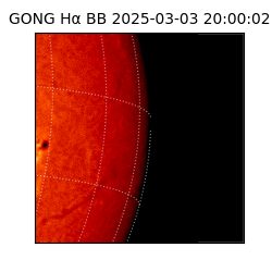 gong - 2025-03-03T20:00:02