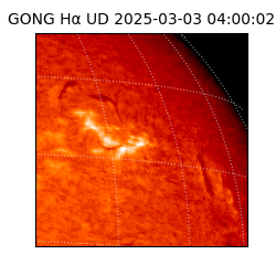 gong - 2025-03-03T04:00:02