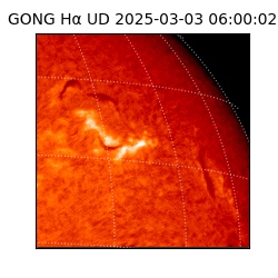 gong - 2025-03-03T06:00:02