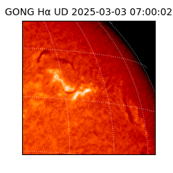gong - 2025-03-03T07:00:02