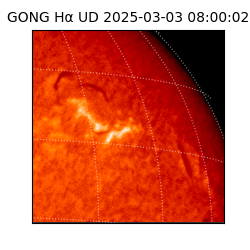gong - 2025-03-03T08:00:02