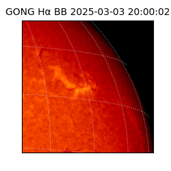 gong - 2025-03-03T20:00:02