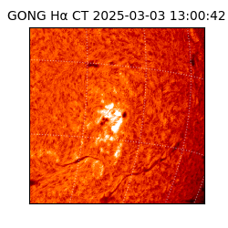 gong - 2025-03-03T13:00:42