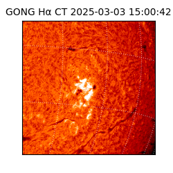 gong - 2025-03-03T15:00:42