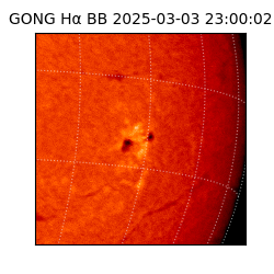gong - 2025-03-03T23:00:02