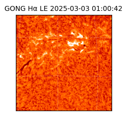 gong - 2025-03-03T01:00:42