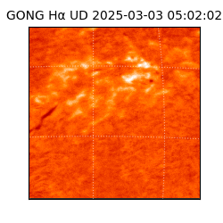 gong - 2025-03-03T05:02:02