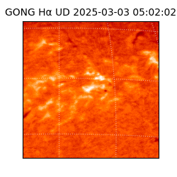 gong - 2025-03-03T05:02:02