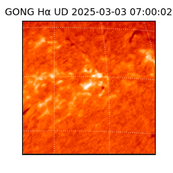 gong - 2025-03-03T07:00:02