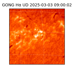 gong - 2025-03-03T09:00:02