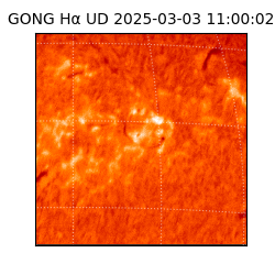 gong - 2025-03-03T11:00:02
