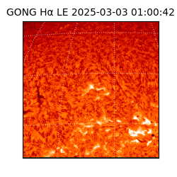 gong - 2025-03-03T01:00:42