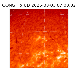 gong - 2025-03-03T07:00:02