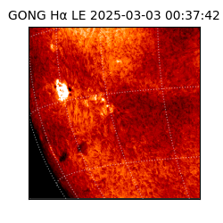 gong - 2025-03-03T00:37:42
