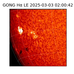gong - 2025-03-03T02:00:42