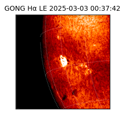 gong - 2025-03-03T00:37:42
