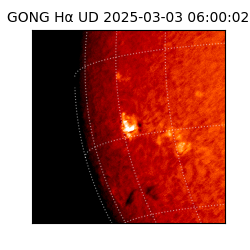 gong - 2025-03-03T06:00:02