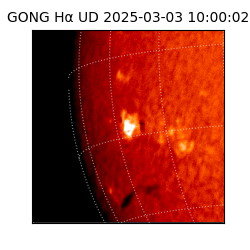 gong - 2025-03-03T10:00:02