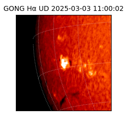 gong - 2025-03-03T11:00:02