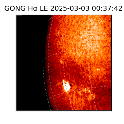 gong - 2025-03-03T00:37:42