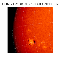 gong - 2025-03-03T20:00:02