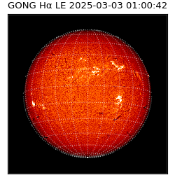 gong - 2025-03-03T01:00:42