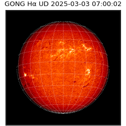 gong - 2025-03-03T07:00:02