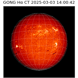 gong - 2025-03-03T14:00:42