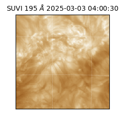 suvi - 2025-03-03T04:00:30.312000