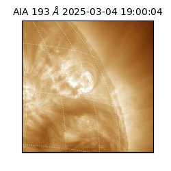 saia - 2025-03-04T19:00:04.843000