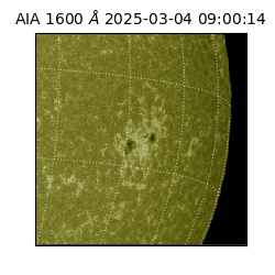 saia - 2025-03-04T09:00:14.131000