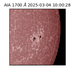 saia - 2025-03-04T10:00:28.717000