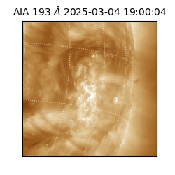 saia - 2025-03-04T19:00:04.843000