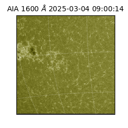 saia - 2025-03-04T09:00:14.131000