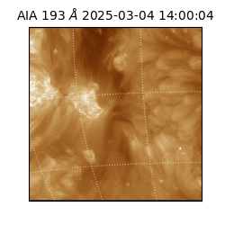 saia - 2025-03-04T14:00:04.843000
