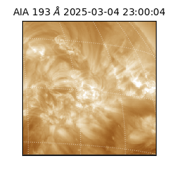 saia - 2025-03-04T23:00:04.843000