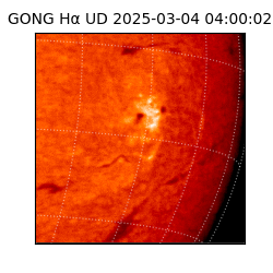 gong - 2025-03-04T04:00:02