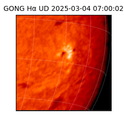 gong - 2025-03-04T07:00:02